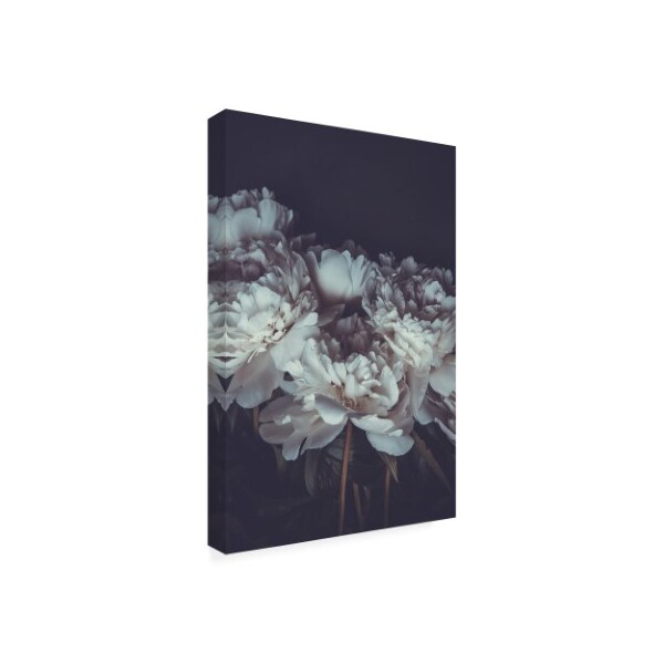 PhotoINC Studio 'Romantic' Canvas Art,22x32